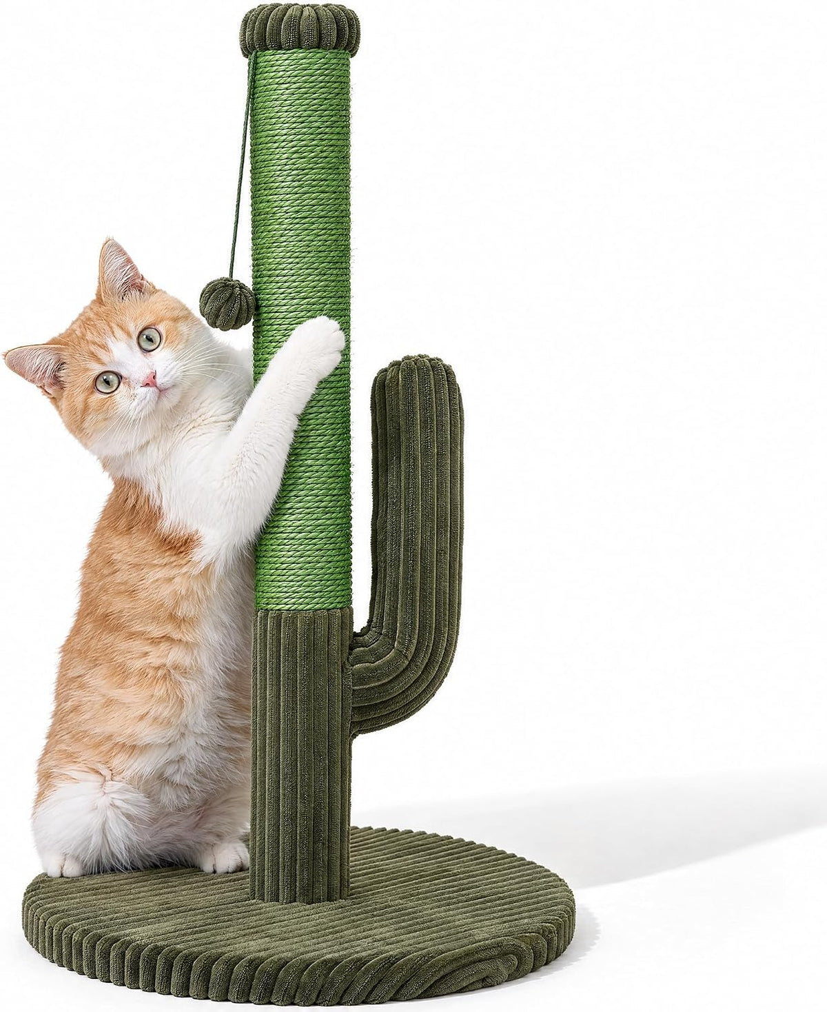 Cactus Cat Scratching Post, Natural Sisal Cat Scratcher with Toy