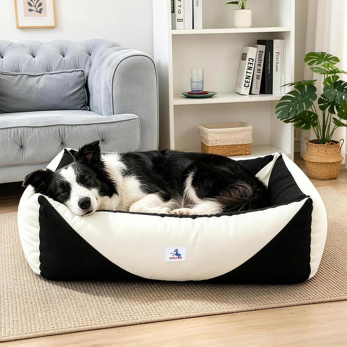 Cotton Canvas Dog Bed(290gsm Thick), 24"x20"x8" Washable Waterproof