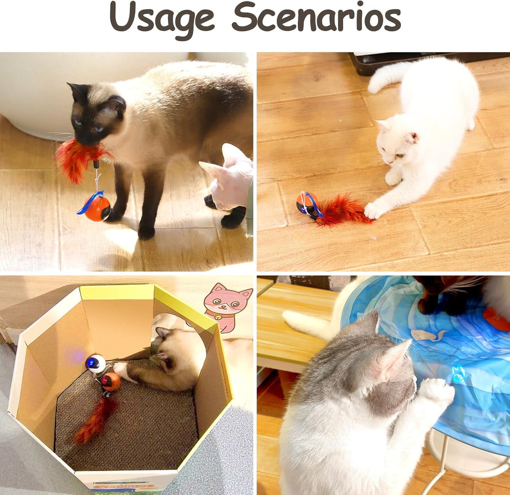 Migipaws Interactive Cat Ball Toy Set, Fun Tracker, Automatic Rolling Chase Ball with Fluffy Tail, A Small Mice, Recharg