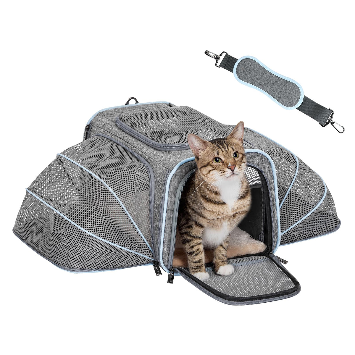 Petsfit Small Double Expandable Cat Carrier for Kittens and Air Travel