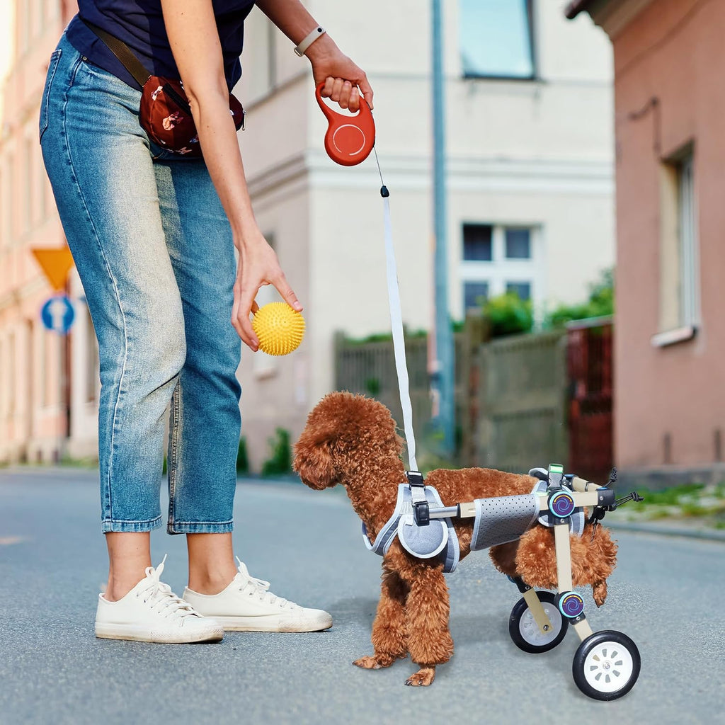 Dog Wheelchair for Back Legs, Adjustable Mobility Cart for Dog