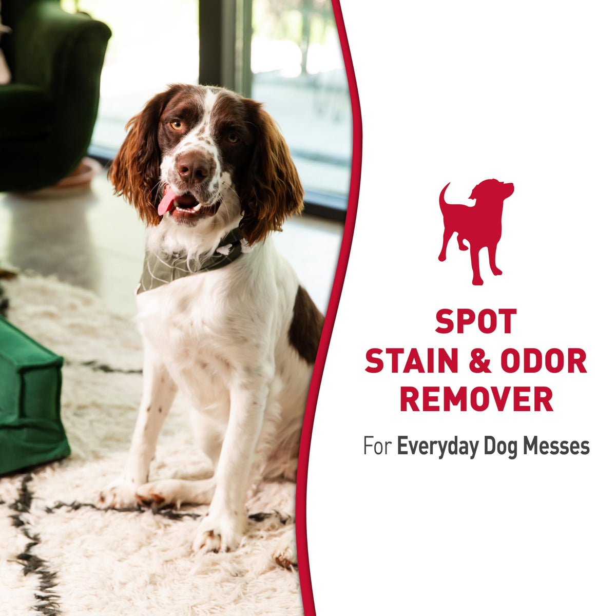 Nature’s Miracle Dog Stain & Odor Remover, Enzymatic Cleaner, 32 oz