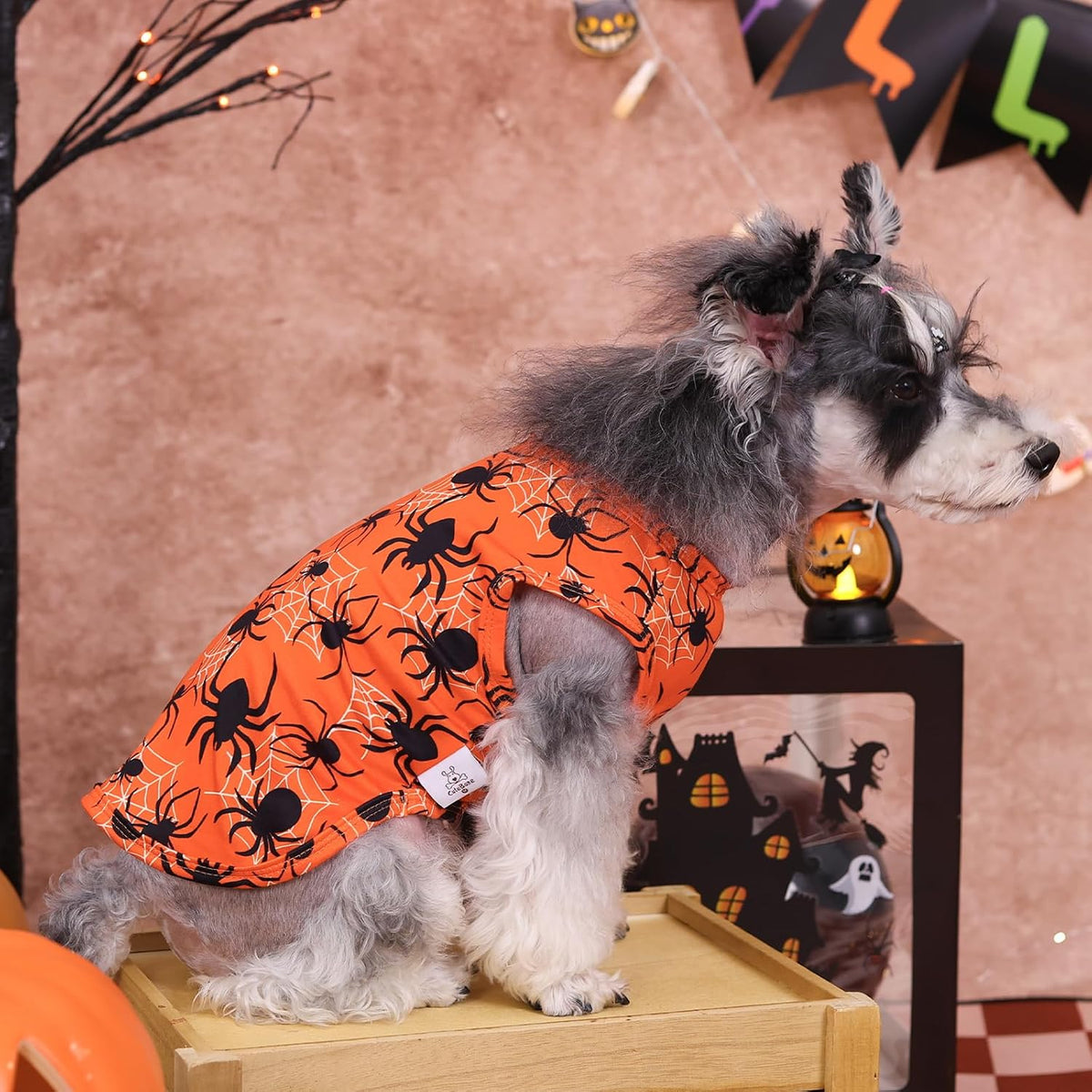 CuteBone Halloween Dog Shirts 2-Pack Soft Pet Clothes Breathable Summer Vest for Small Puppy and Stretchy Cat Apparel