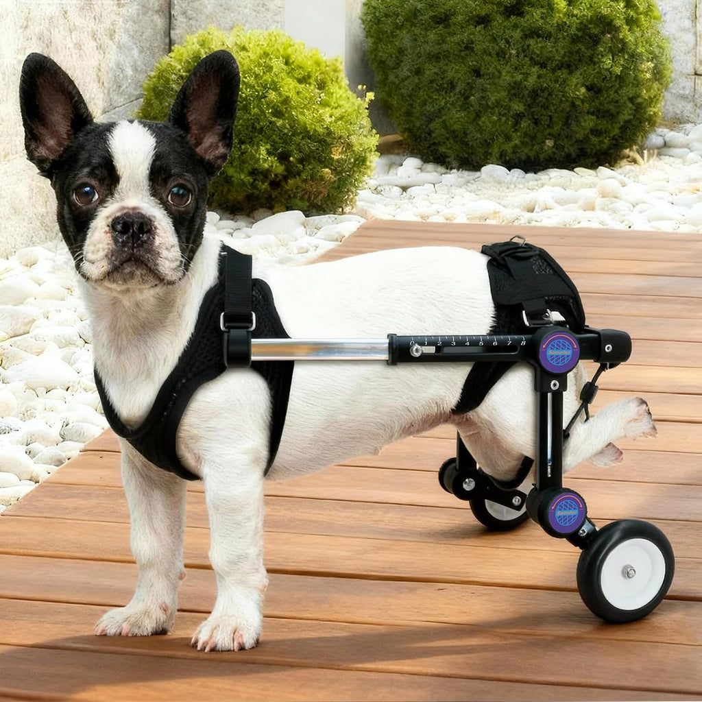 Dog Wheelchair for Back Legs, Adjustable Mobility Cart for Dog