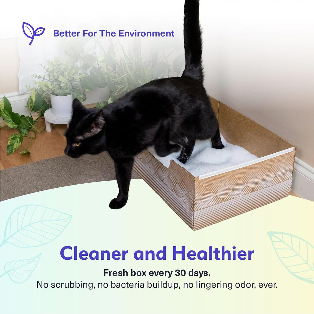 Kitty Poo Club Disposable Cat Litter Box 2-Pack, Leak-Proof 30-Days Per Box