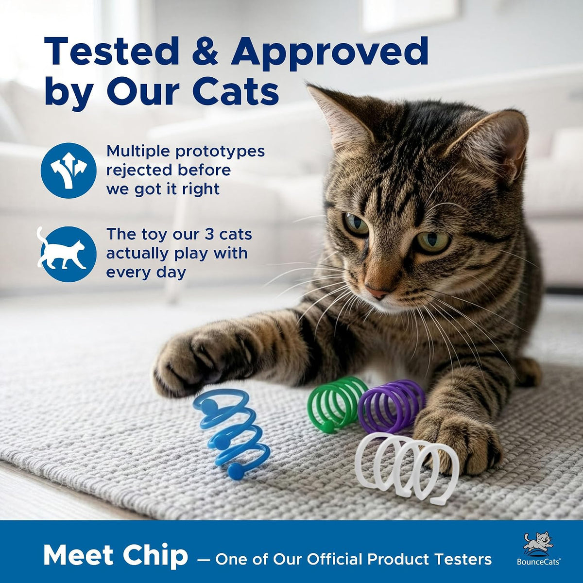 12 Pack Cat Spring Toys Bulk Set for Indoor Cats and Kitten Toys