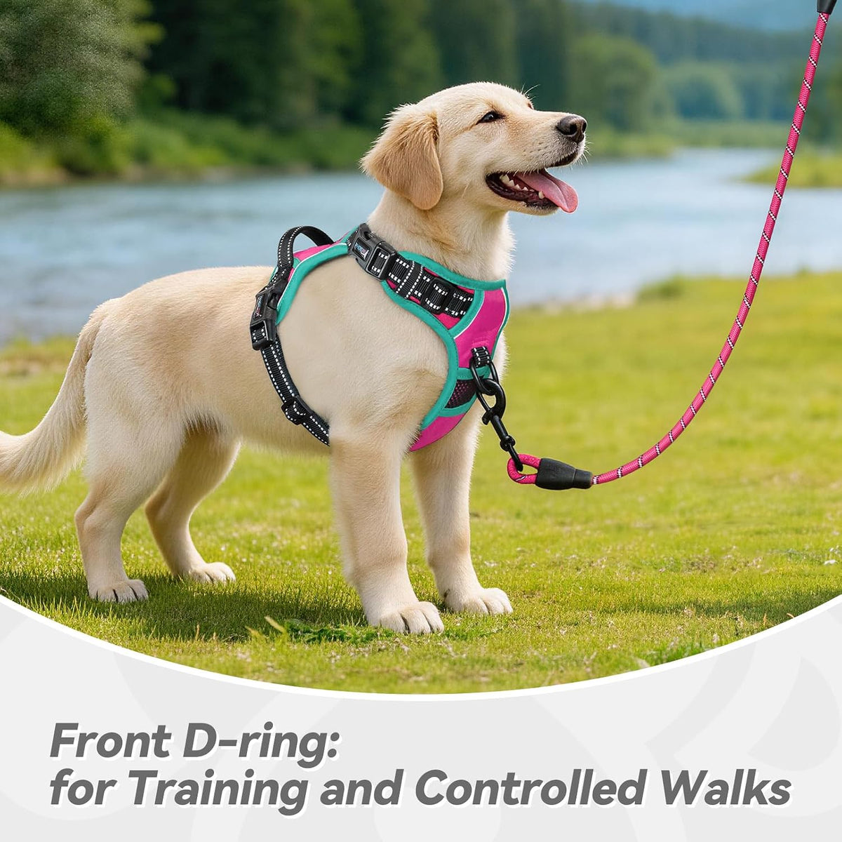 PHOEPET Upgraded No Pull Dog Harness, Reflective Adjustable Vest