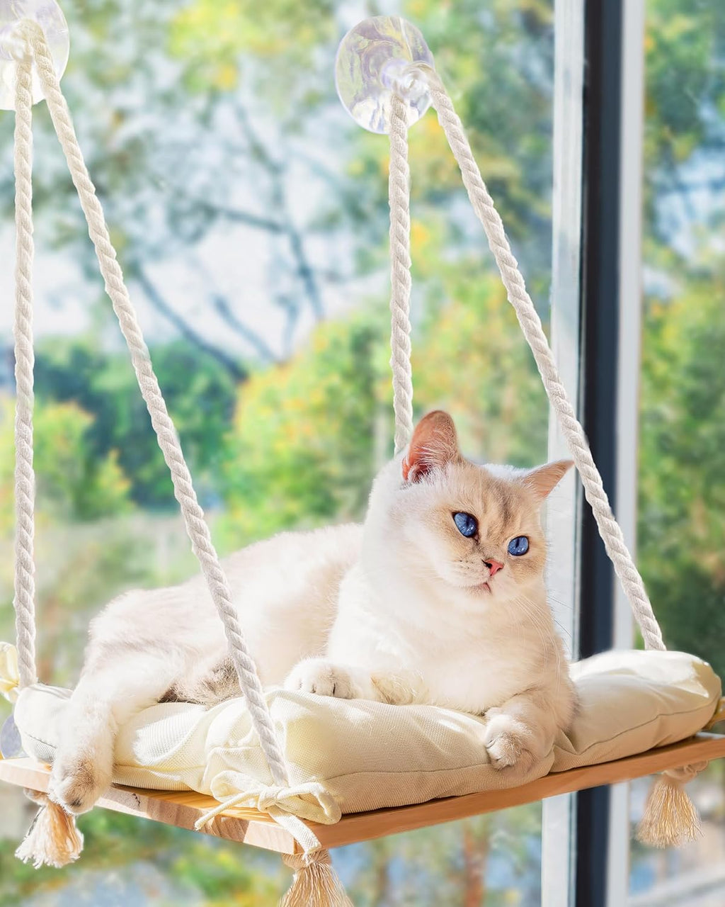Cat Window Perch with Industrial-Grade Suction Cups - Solid Pine Wood Hammock Bed, Soft Cushion - 42 lb Capacity for Cat