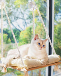 Cat Window Perch with Industrial-Grade Suction Cups - Solid Pine Wood Hammock Bed, Soft Cushion - 42 lb Capacity for Cat