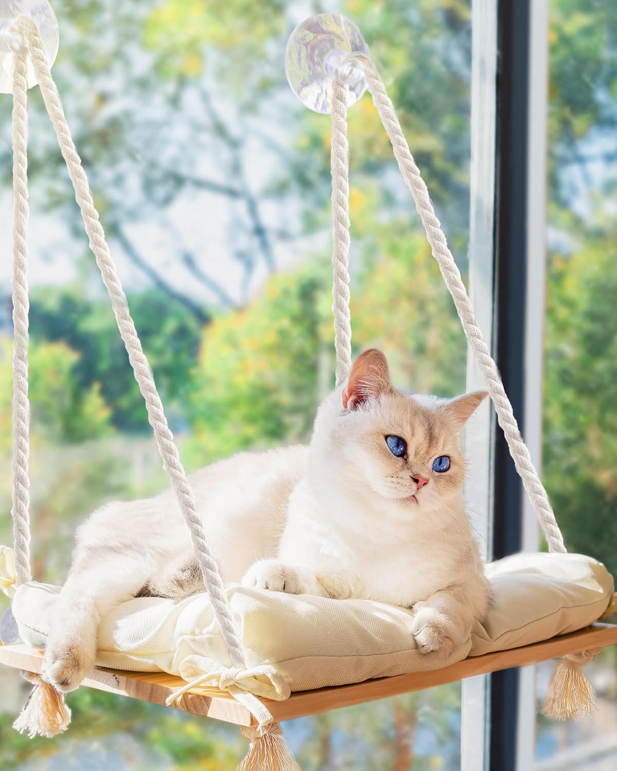 Cat Window Perch with Industrial-Grade Suction Cups - Solid Pine Wood Hammock Bed, Soft Cushion - 42 lb Capacity for Cat