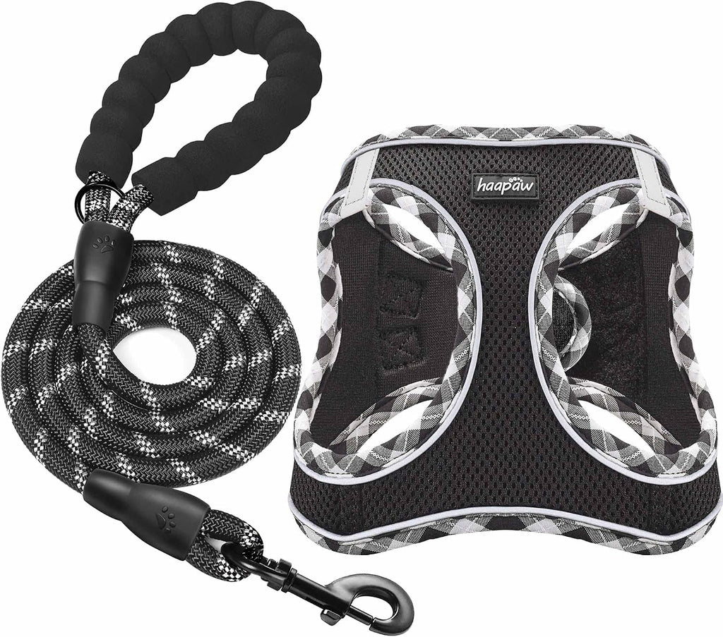 haapaw Dog Harness with Leash Set, No Pull Adjustable Reflective Step-in Puppy Harness with Thickened Padded Vest for Ex