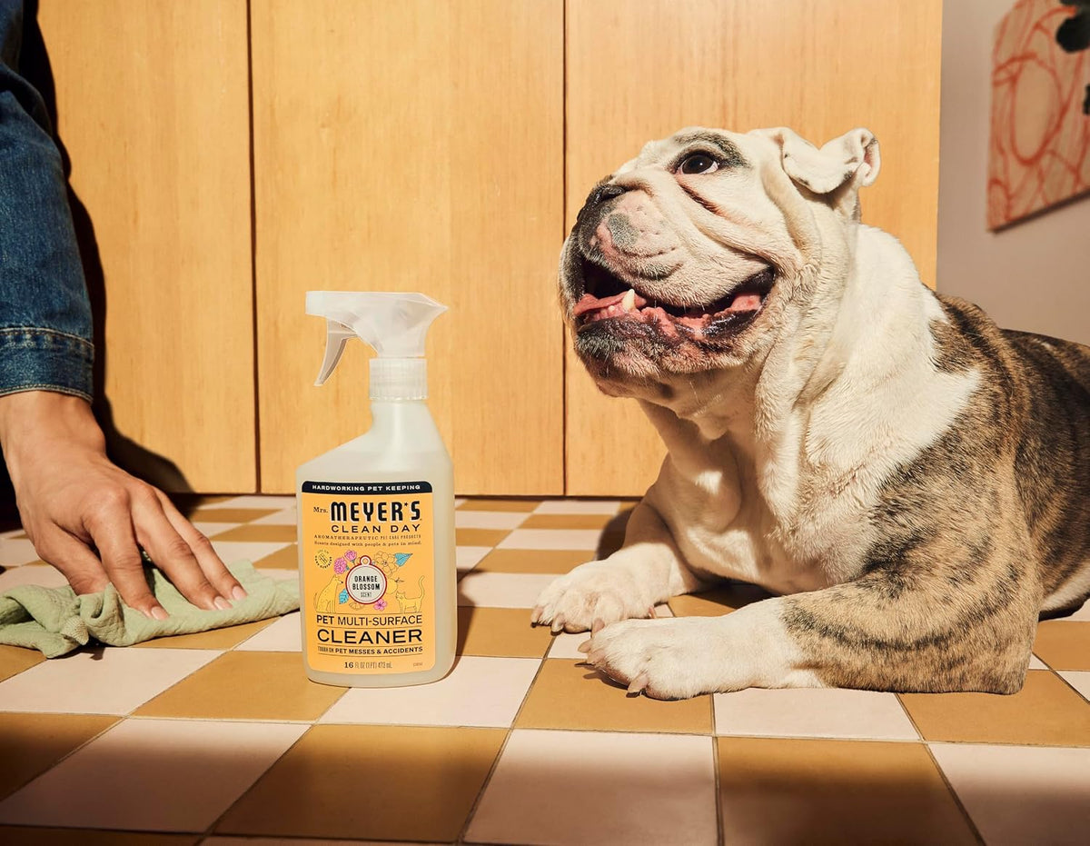 MRS. MEYER'S CLEAN DAY Pet Multi-Surface Cleaner, Orange Blossom, 16 fl oz
