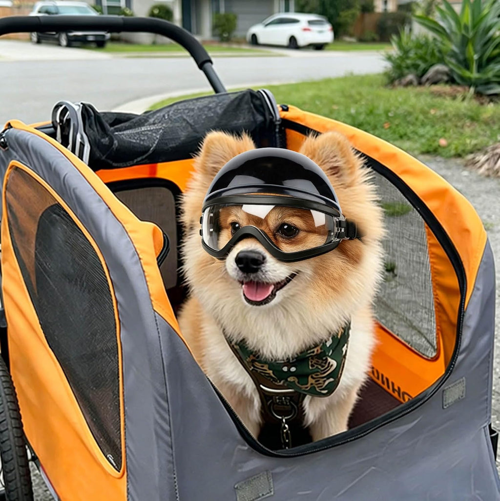 Dog Helmet for Small Dogs Cats, XS Pet Helmets with Goggles Outdoors Cycling Riding, Dog Sunglasses Helmets with Ear Hol