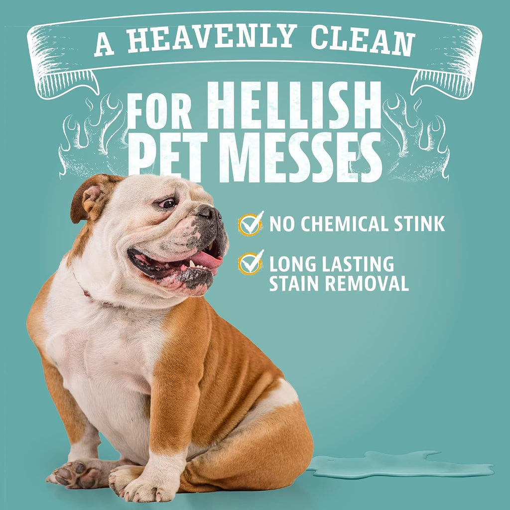 Angry Orange Stain Remover - 32oz Enzyme Pet Cleaner - Dog & Cat Urine Destroyer and Stain Remover - Citrus Spray Cleani