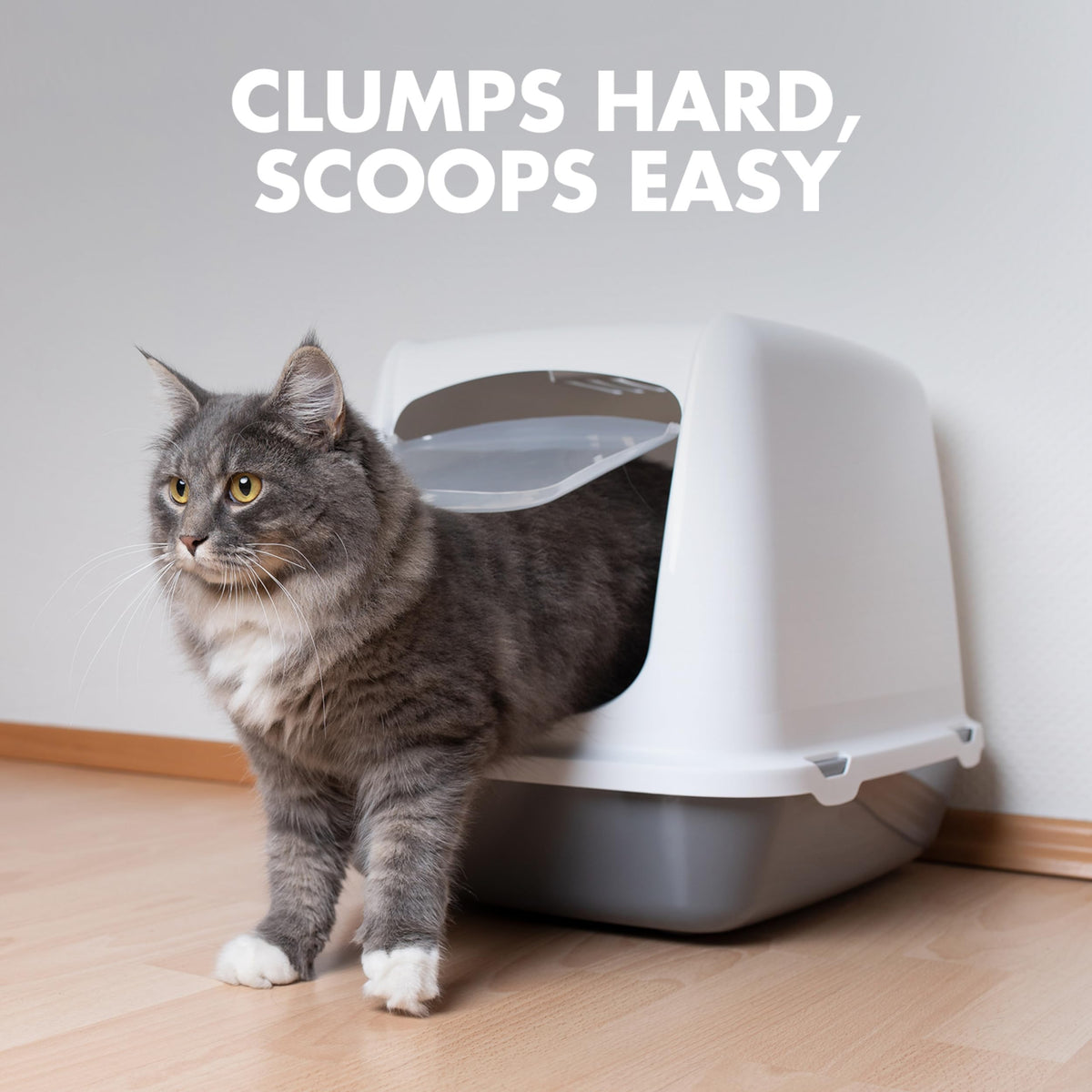 ARM & HAMMER Naturals Clumping Cat, Litter Odor Control, Multi Cat Litter, 18 lb. Bag