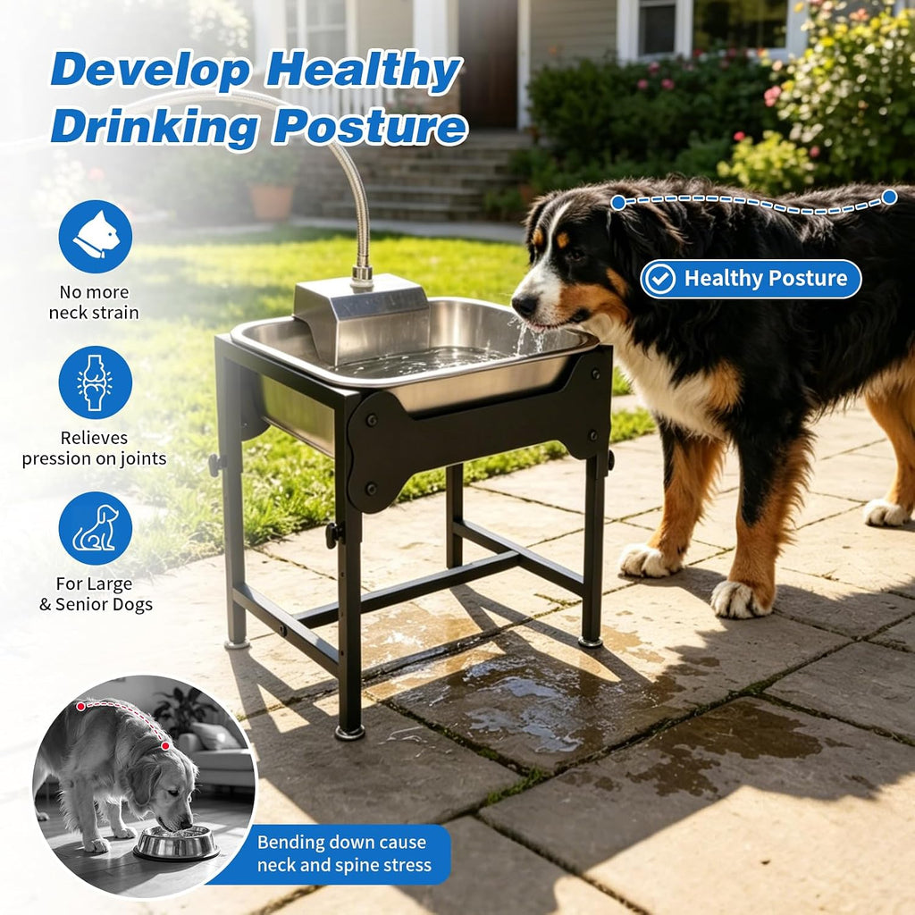3Gal Automatic Dog Water Bowl Dispenser, Elevated Large Dog Water Bowl