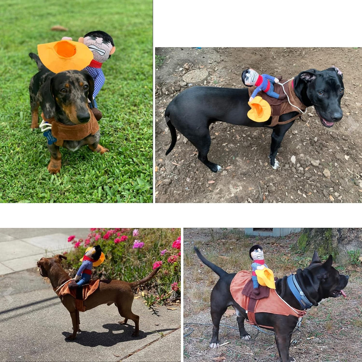 Cowboy Rider Dog Costume Dogs Outfit Knight Style Doll Hat Halloween Day Pet Costume (XL)