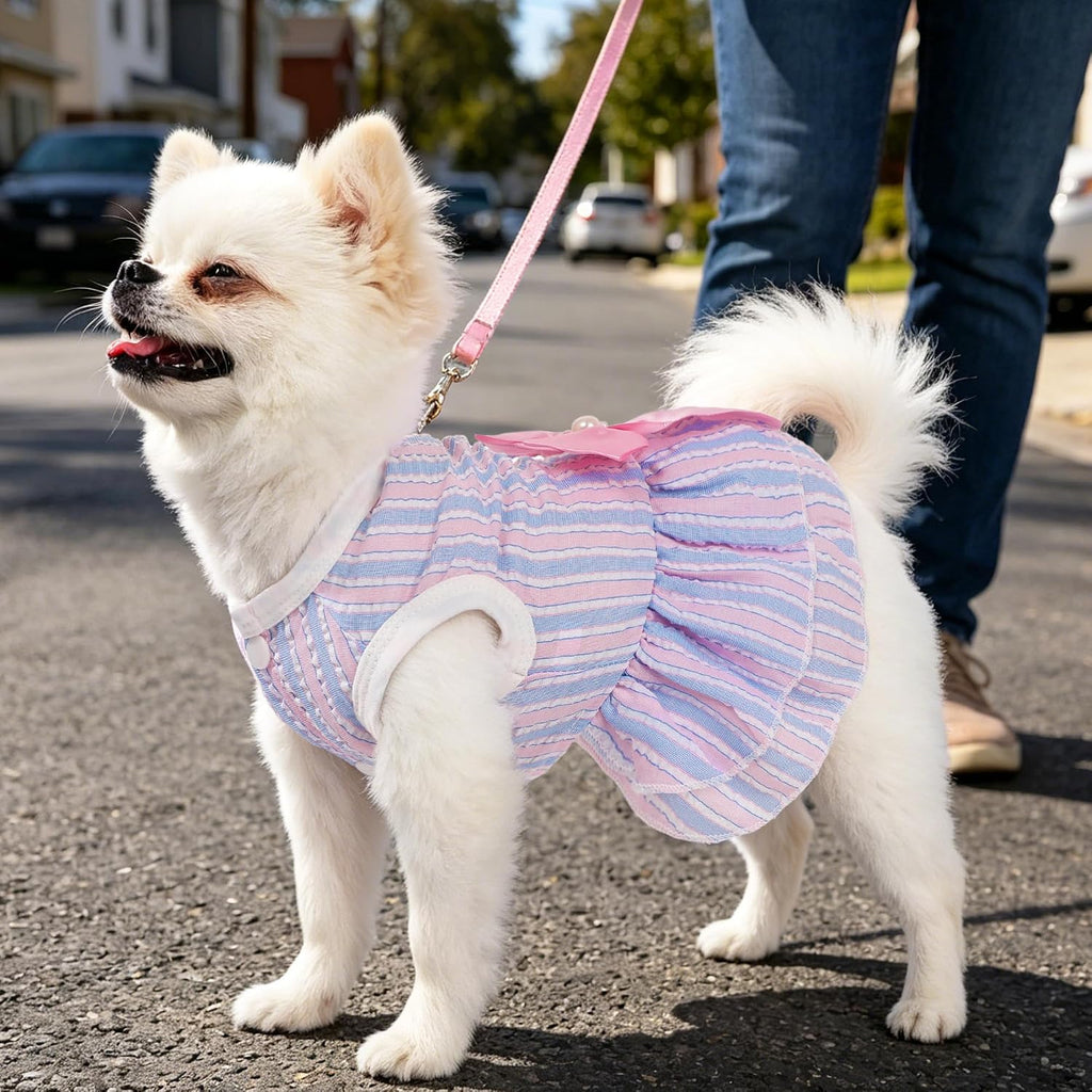 Dog Dress, Cute Pet Princess Dresses with Bright Color Design, Sweet Bowknot, Dog Clothes for Small Dogs Girl, Breathabl