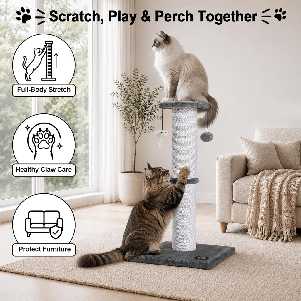 34-Inch Tall Cat Scratching Post for Large Cats, Stable Base, Gray