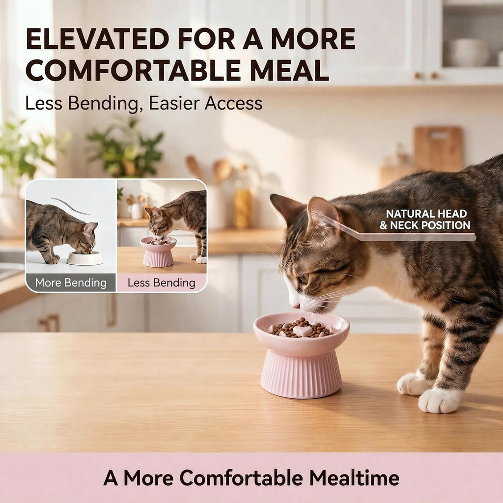 Elevated Slow Feeder Cat Bowl Ceramic Raised Feeder Pink