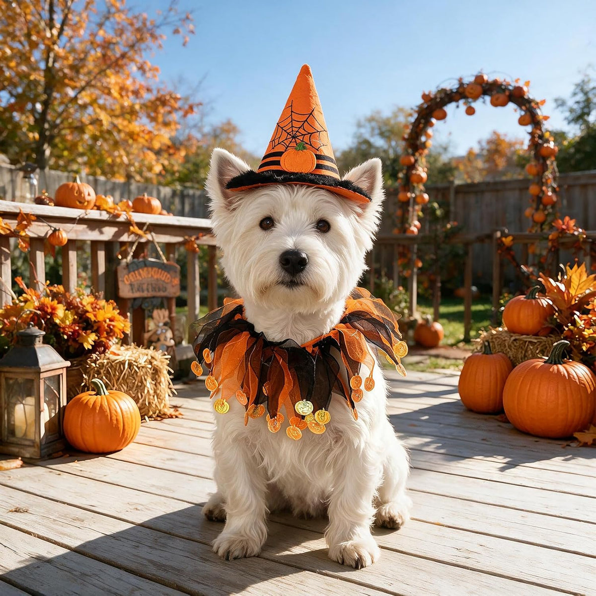 choyaxo Halloween Dog Tutu Collar