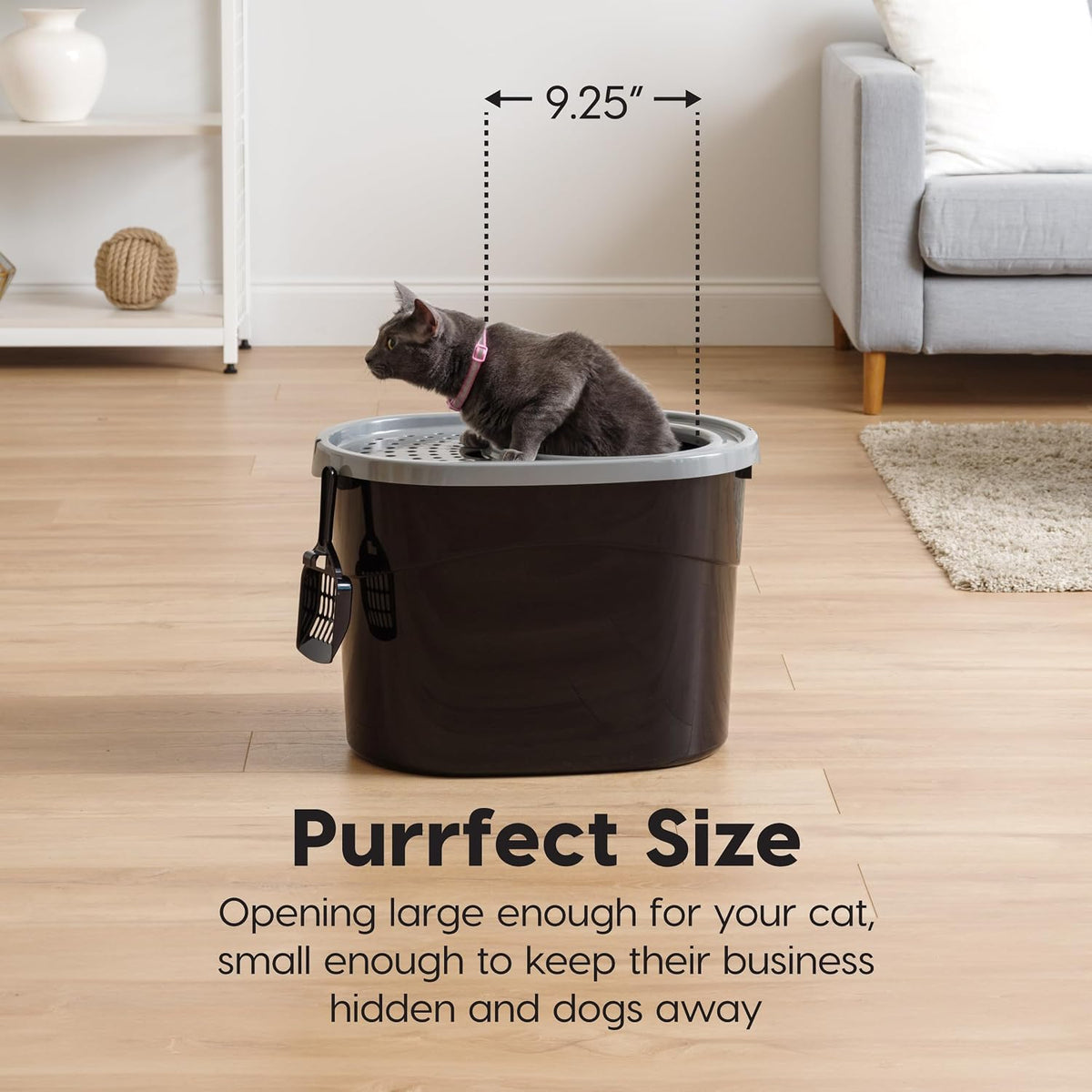 IRIS USA Top Entry Cat Litter Box, Hooded Privacy, Large, Black/Gray