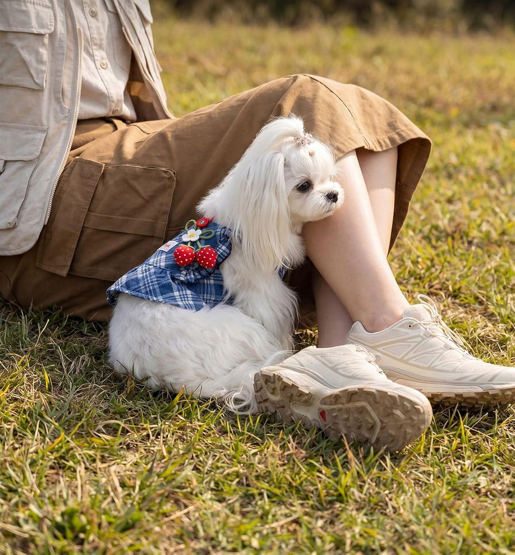 Strawberry Denim Dog Dress with Leash Hole, Suspender Skirt for Small Dogs