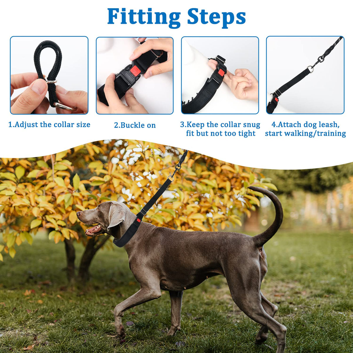 Mayerzon Martingale Dog Collar No Pull, Black, M | Neck Cir 14.5"-18.5"