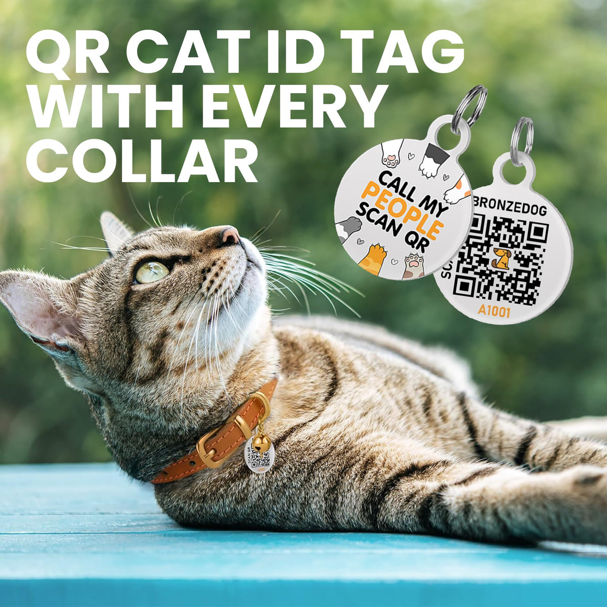 Leather Cat Collar, Removable Bells, QR Tag (7-9", Black & Gold)
