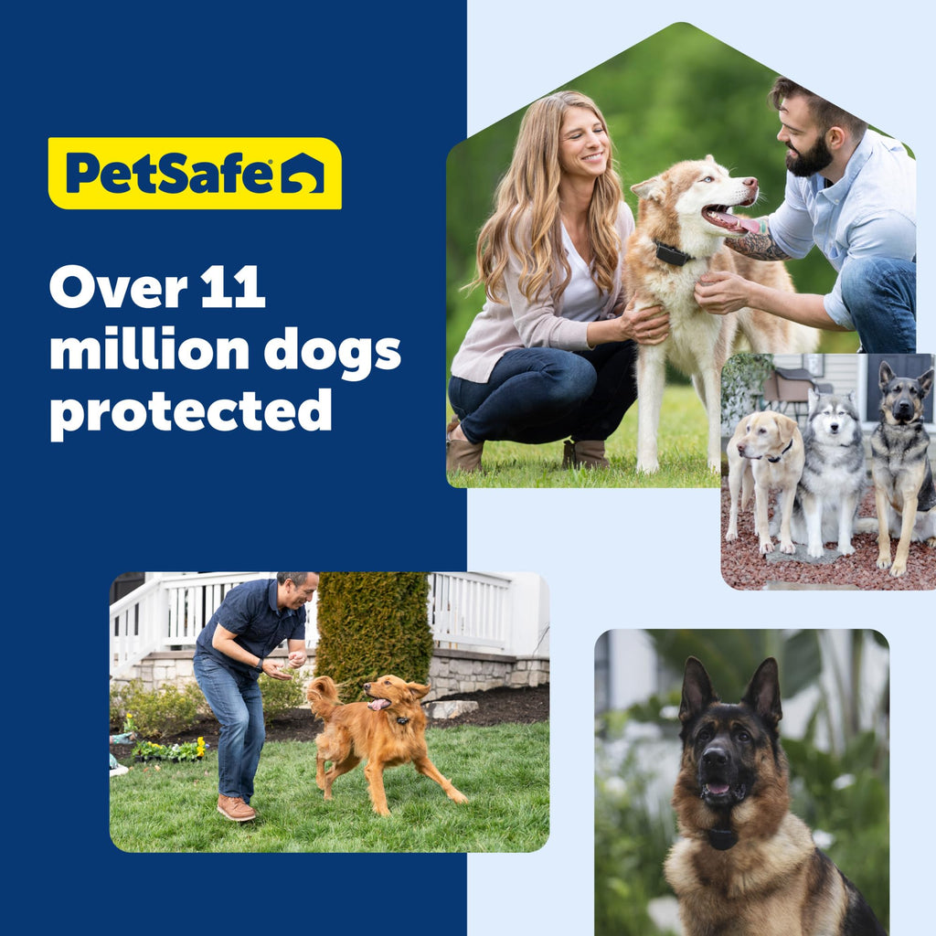 PetSafe Wireless Pet Containment System Collar