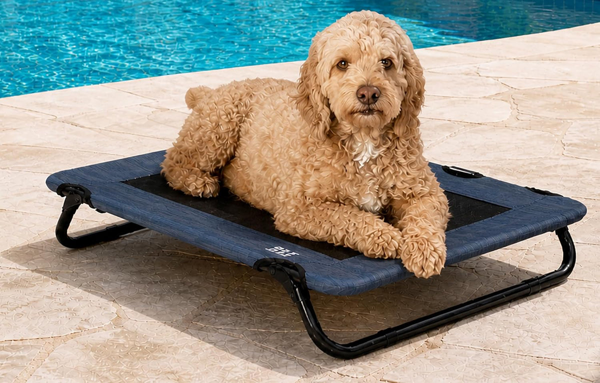 Pet Gear Lifestyle Pet Cot Elevated Bed, 30 Inch, Slate Blue