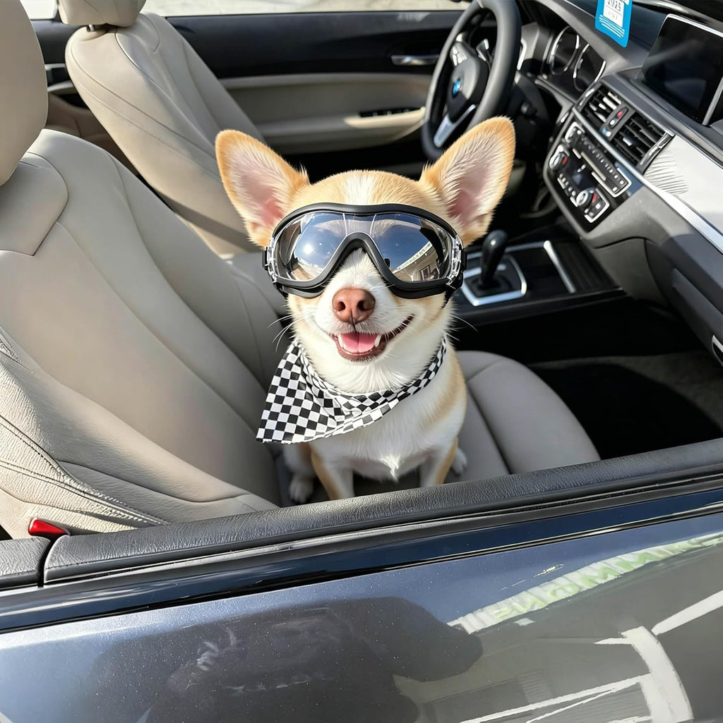 Clear Dog Goggles for Small Dogs, UV Dog Sunglasses Outdoor Eye Protection, Small Glasses for Dogs Cycling Driving Ridin