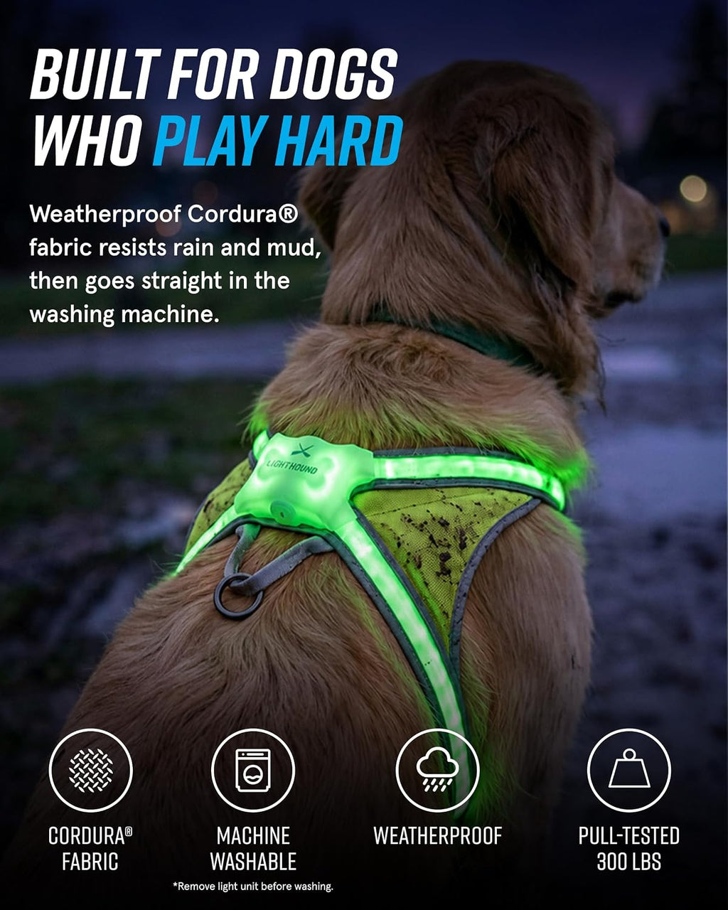 noxgear LightHound Light Up Reflective Dog Harness, Large