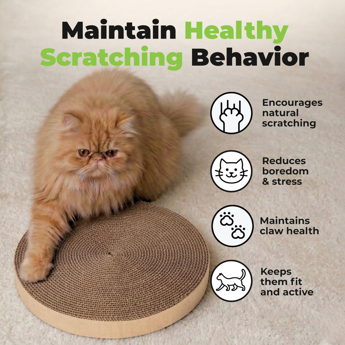 Catify Spin n' Scratch Cat Scratch Pad Refill - Round, 5-Pack