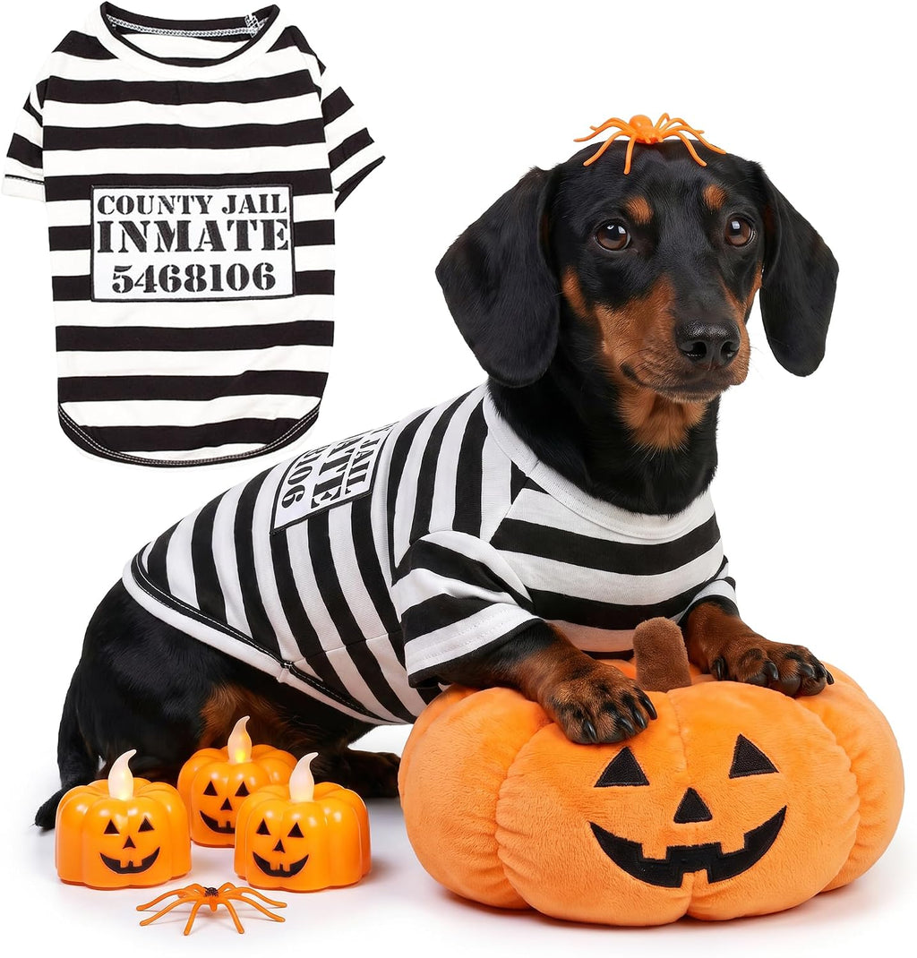 Parisian Pet Dog Halloween Costume - Prisoner Halloween Costumes for Dogs