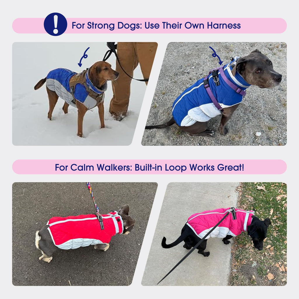 FUAMEY Dog Coat for Medium Dogs, Fleece Dog Winter Jacket with Harness
