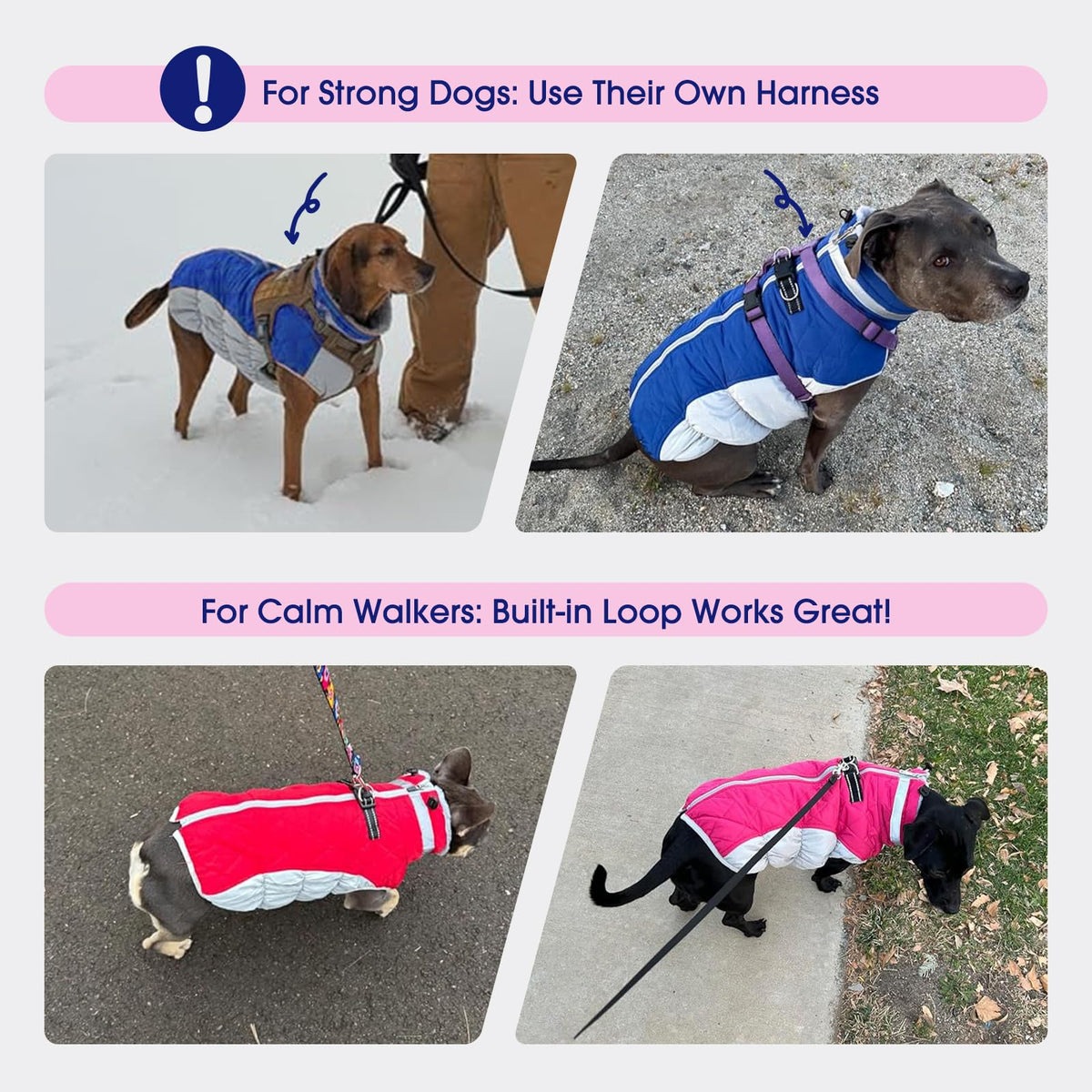 FUAMEY Dog Coat for Medium Dogs, Fleece Dog Winter Jacket with Harness