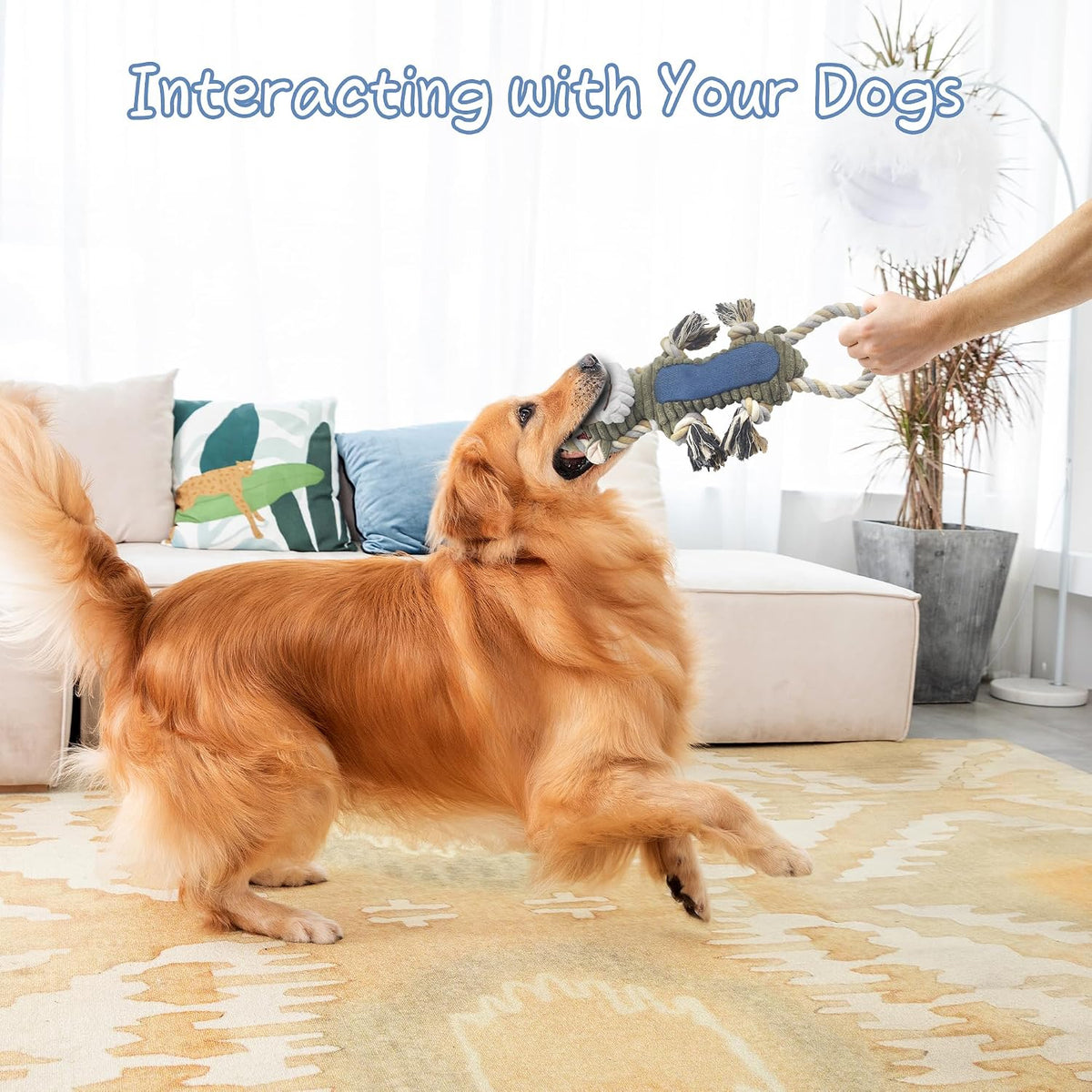 BUYPOW Funny Plush Dog Chew Toys, Squeaky Dog Toys, Interactive Tug of War Puppy Toys, Stuffed Dog Toys for Small, Mediu