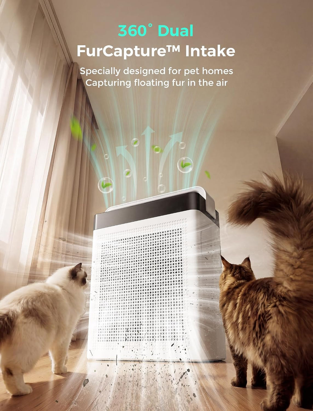 Pet Air Purifier & Extra 1 Pack Replacement Filter (PAP001)