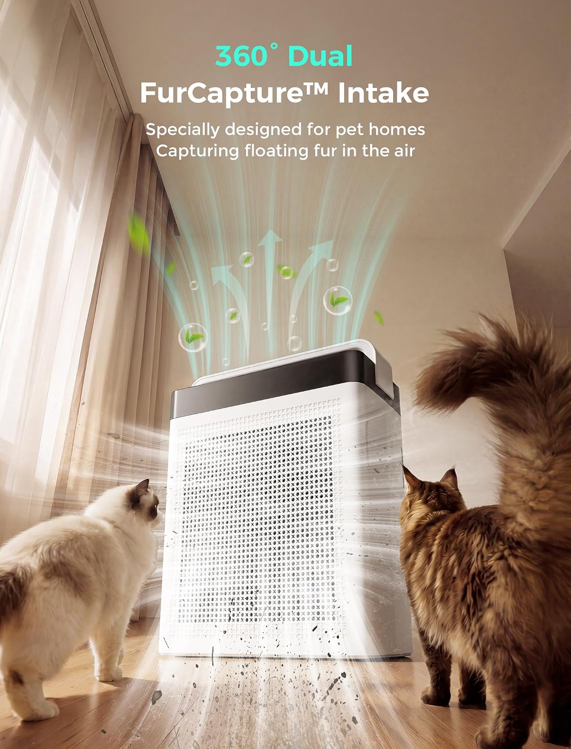 Pet Air Purifier & Extra 1 Pack Replacement Filter (PAP001)