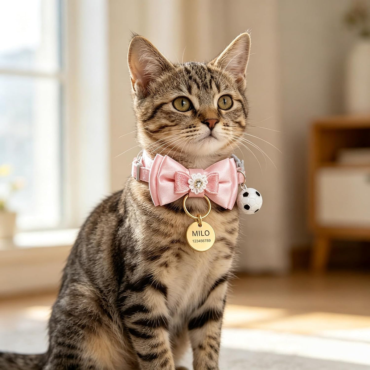 Custom Cat Collar with Name & Bell for Kitten, Breakaway Safety Buckle Pink