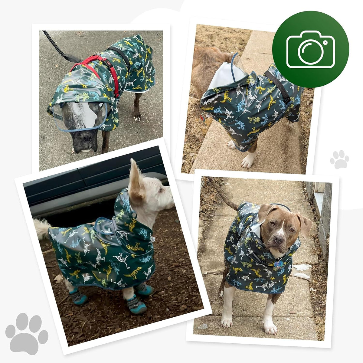 Dog Raincoat,Dog Rain Jacket Poncho with Hood and Leash Hole(Dinosaur,L)