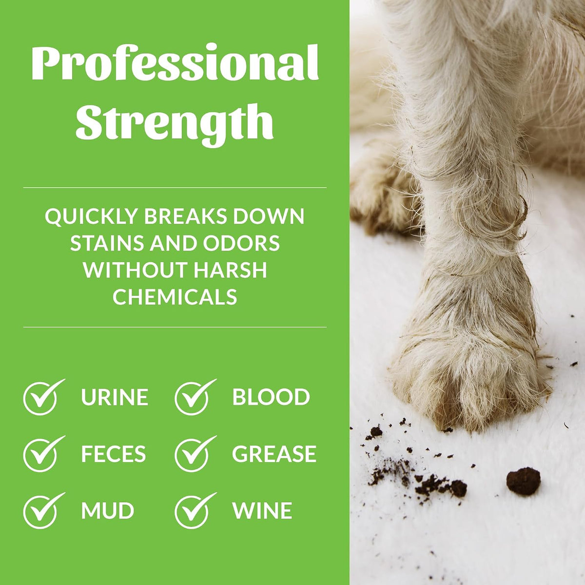 SKOUT'S HONOR Pet Stain and Odor Remover, 35 oz