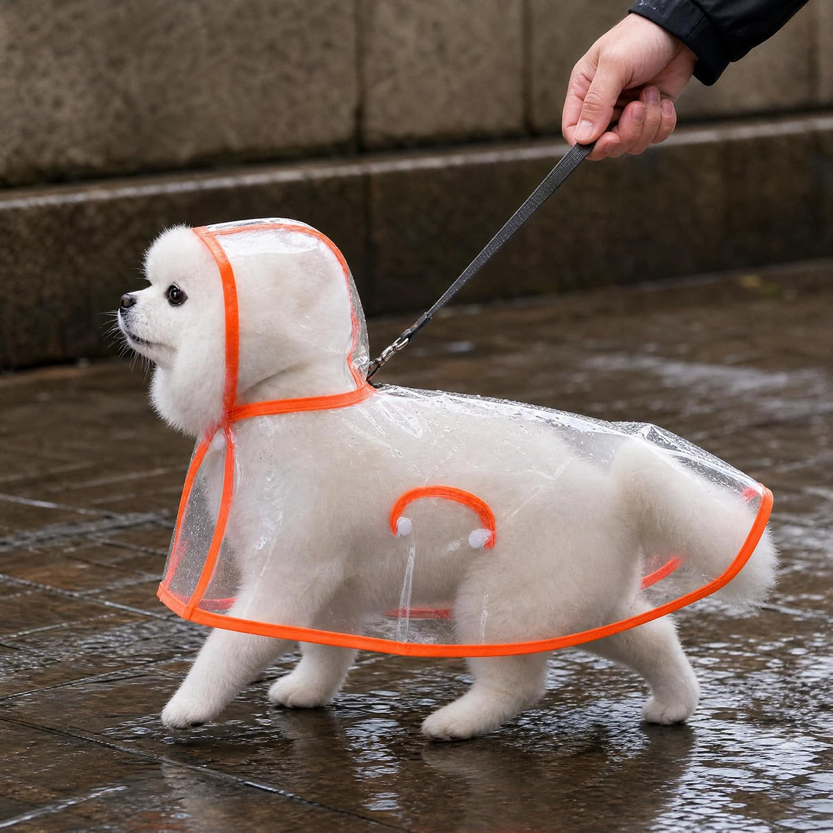 Dog Raincoat, Waterproof Dog Raincoat, M (for 3-5)