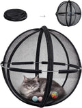 2027 Cat Hamster Ball for Outside, Hamster Ball for Cats, Rolly Cat Ball