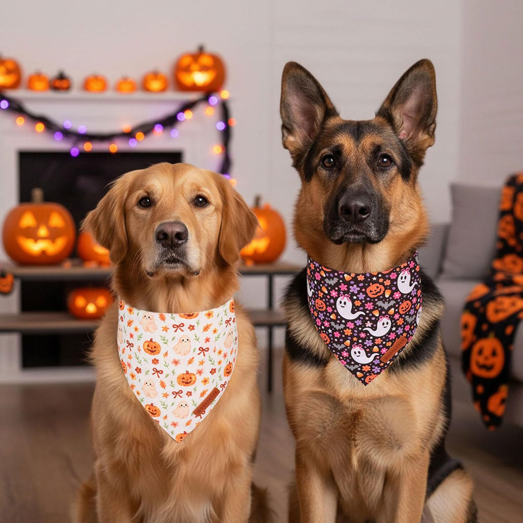 Halloween Floral Dog Bandanas, Ghost Pumpkin Fall Dog Scarf, L