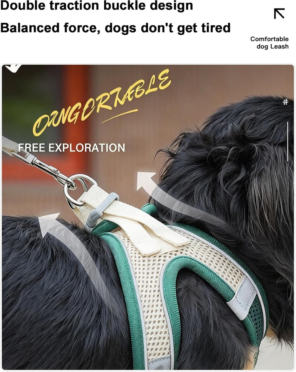 Pet Harness Set for Small Dogs Cat, Black XXS Adjustable Vest Harness