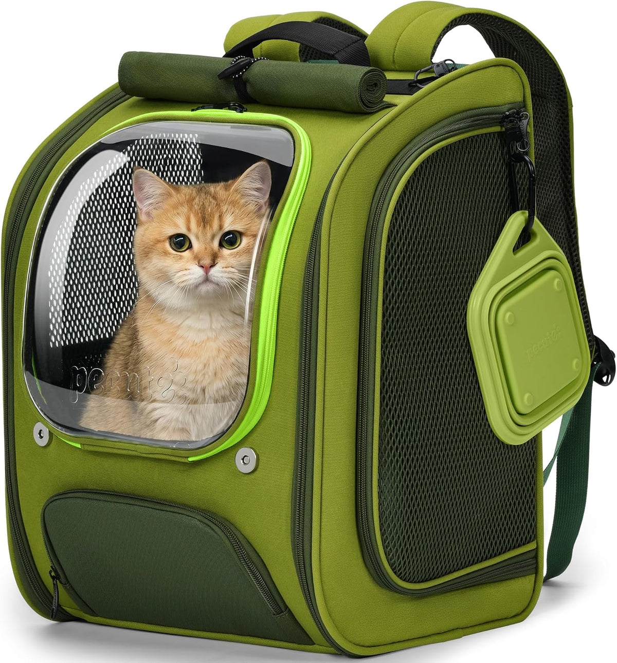 Pecute Cat Backpack Carrier,Large Space Cat Bubble Backpack,Ergonomic,Gray