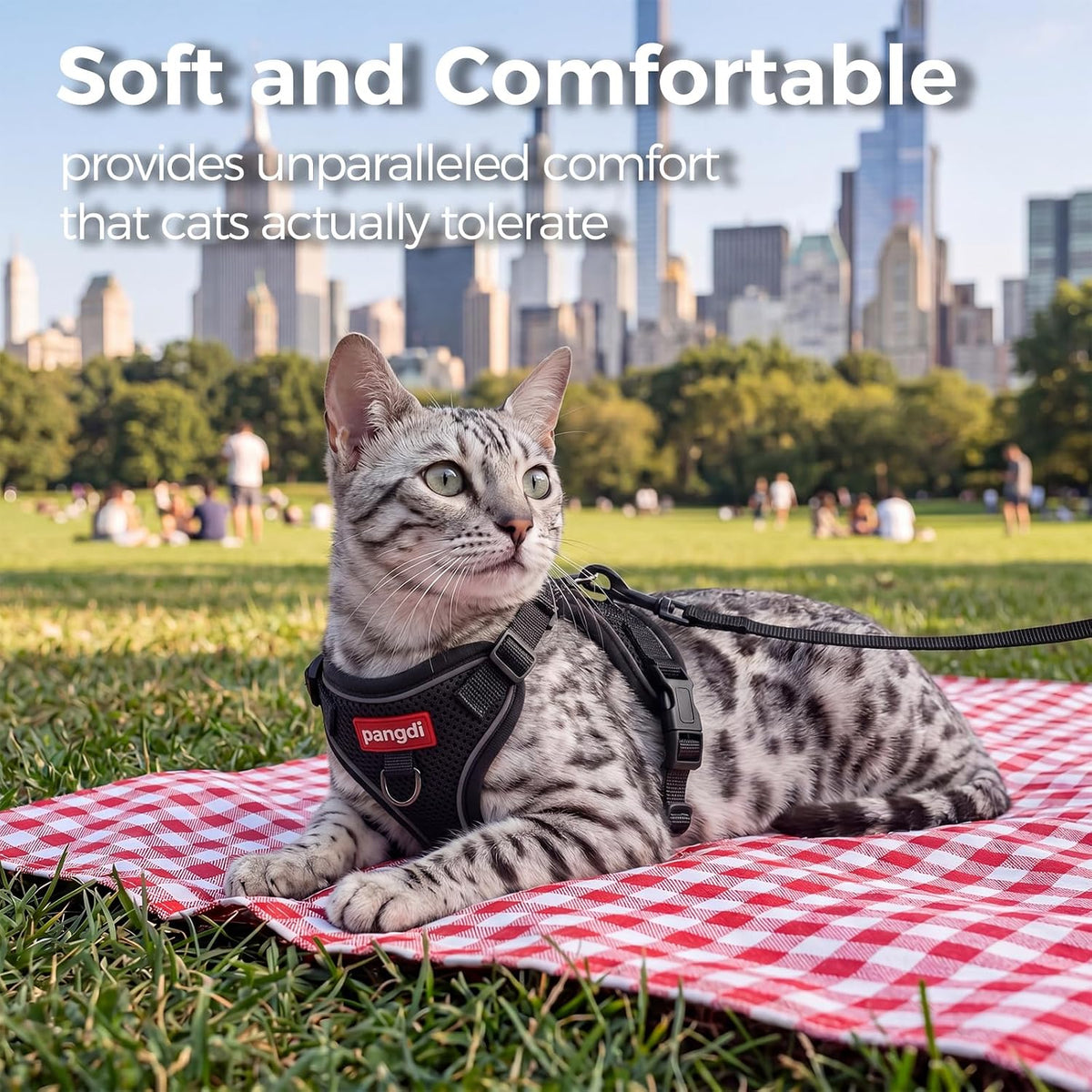 Cat Harness and Leash Set, Lightweight Air-Mesh Cat Vest, Black, XXL