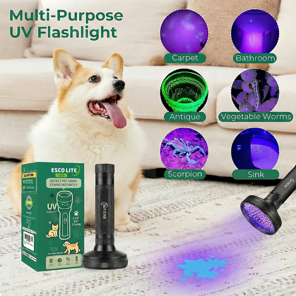 UV Flashlight Black Light, 100 LED 395 nM Ultraviolet Flashlights UV Blacklight Detector for Dog Urine, Pet Stains